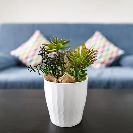 Apartamento Matorral El Matorral